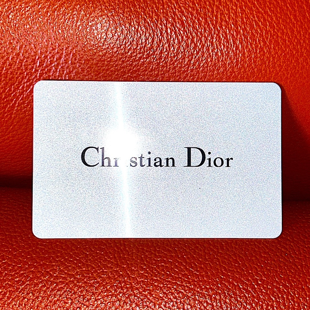 Gorgeous CALFSKIN CHRISTIAN DIOR C’EST DIOR BAG(Includes Authenticity Card) - Picture 14 of 16